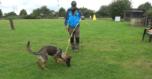 Scent Pad & Starts Tracking - Tracking Troubleshooting