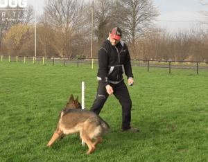 Protection Secondary Obedience - Troubleshooting