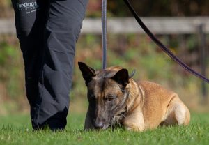 Corners Tracking Troubleshooting