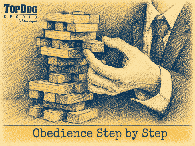 Foundations: Basic Obedience