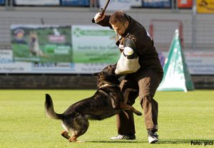 Protection Biting - Troubleshooting