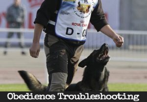 Troubleshooting - Heeling