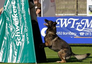 Protection Barking - Troubleshooting