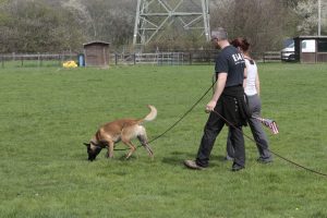 Tracking Lines - Tracking Troubleshooting