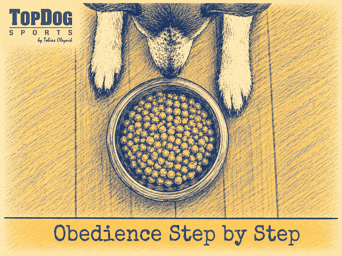 Foundations: Proactive Dog