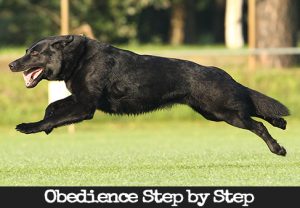 Troubleshooting - Recall and Front