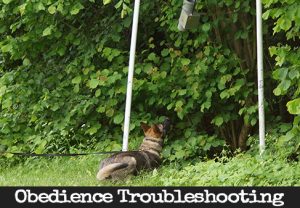 Troubleshooting - Send Away