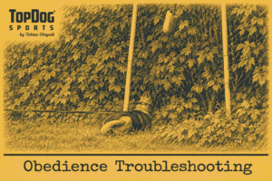 Troubleshooting - Send Away
