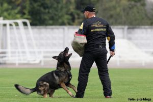 3. Trial Preparation Protection