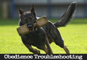 Troubleshooting - Apport