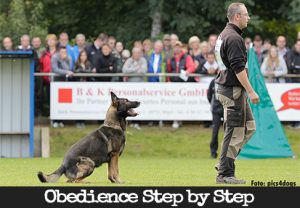 Stay Positions - Troubleshooting