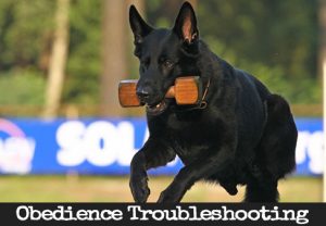 Troubleshooting - Jumping 1 Meter