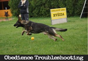 Troubleshooting - Lacking Drive in Obedience​