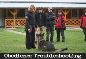 Troubleshooting - Long Down