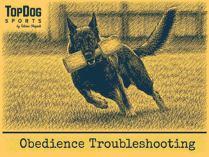 Troubleshooting - Apport