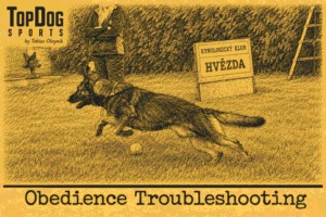 Troubleshooting - Lacking Drive in Obedience​