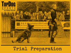 2. Trial Preparation Obedience