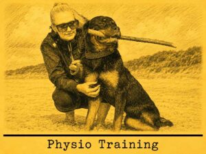 Canine Physical Program Rehabilitate Injuries