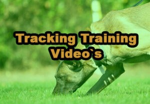 Tracking Training Videos A-TV