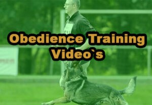 Obedience Training Videos B-TV