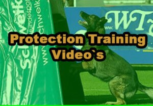 Protection Training Videos C-TV