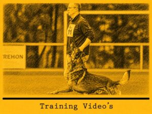 Obedience Training Videos B-TV