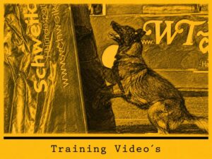 Protection Training Videos C-TV