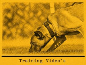 Tracking Training Videos A-TV