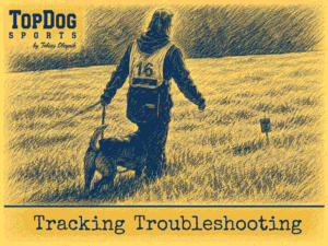 Way To The Start Flag - Tracking Troubleshooting