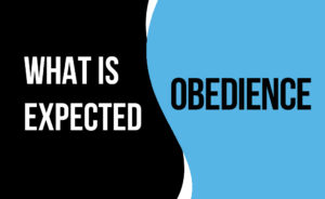 What is Expected at Trial in Phase B - Obedience