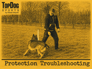 Protection Secondary Obedience - Troubleshooting