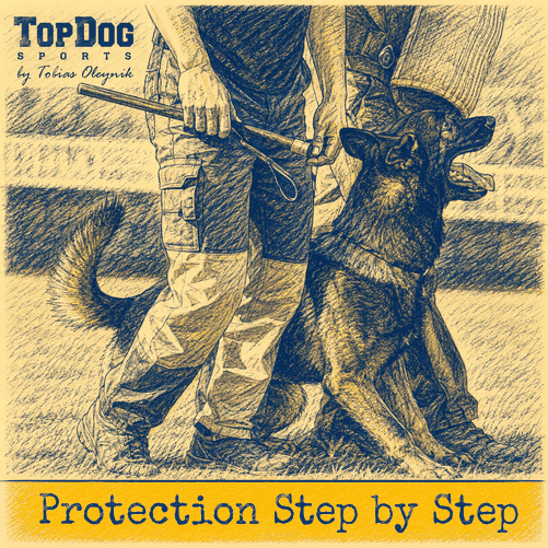 Protection - Secondary Obedience