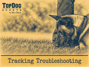 Article Indication Tracking Troubleshooting