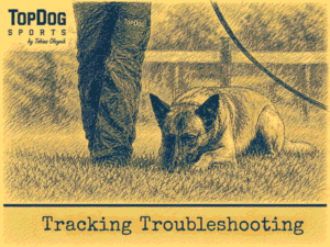 Corners Tracking Troubleshooting