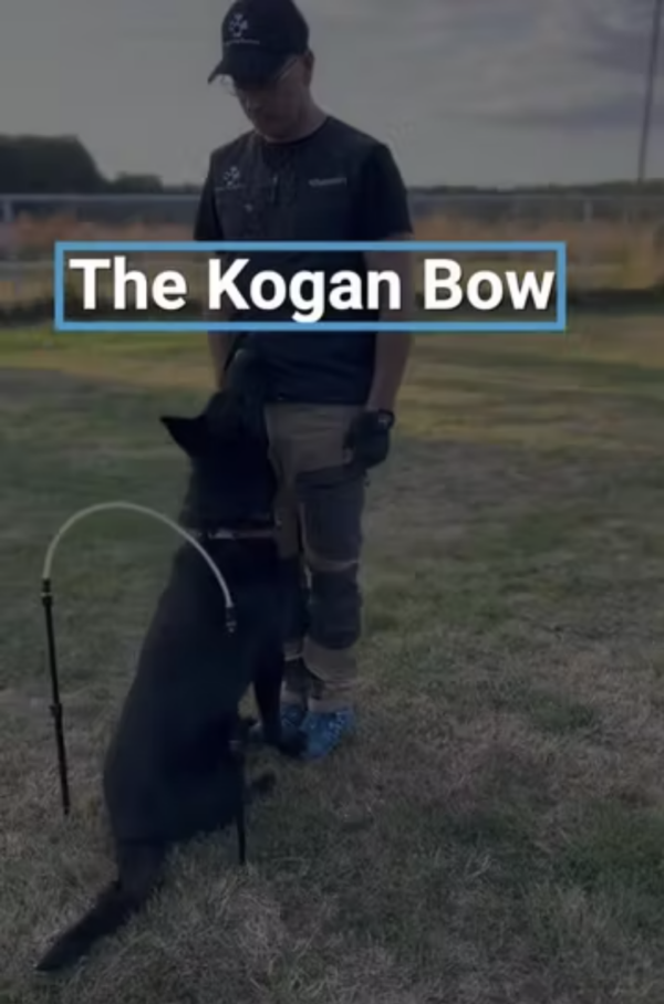 1 x Kogan Bow