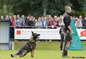 2. Trial Preparation Obedience