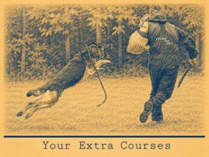 Short Escape - Protection