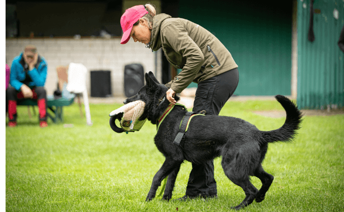 Release Course with Jany Böhm