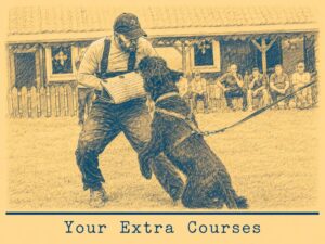 Protection - Silent Guarding mini course