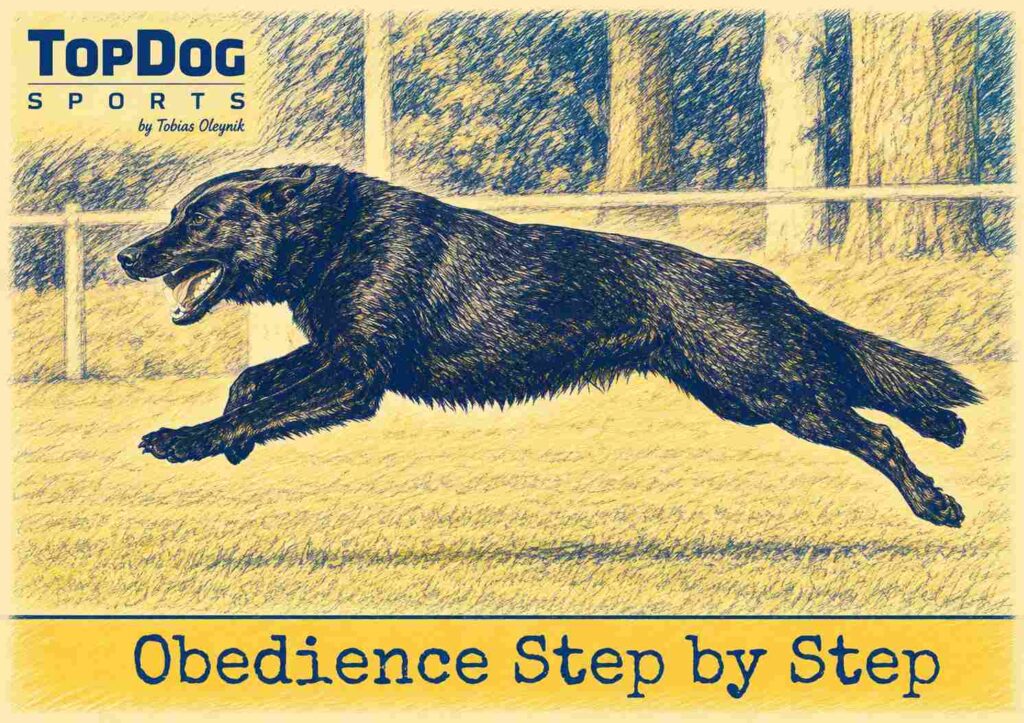 E) Recall Step by Step