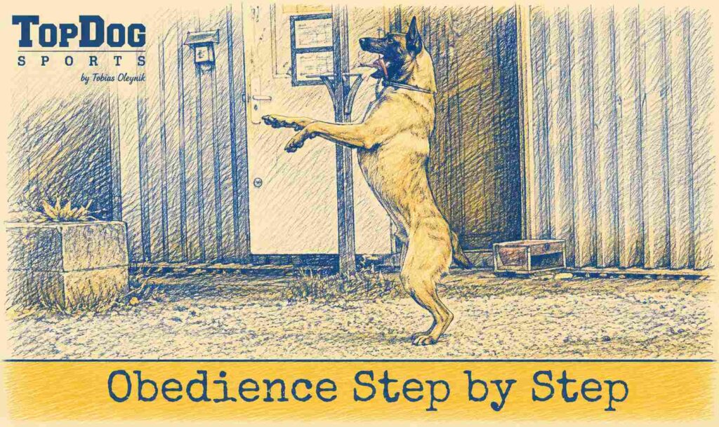 Foundations: Motor Skills