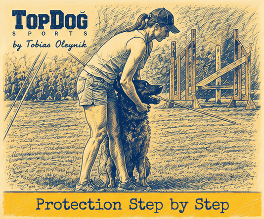 Handler Skills in Protection