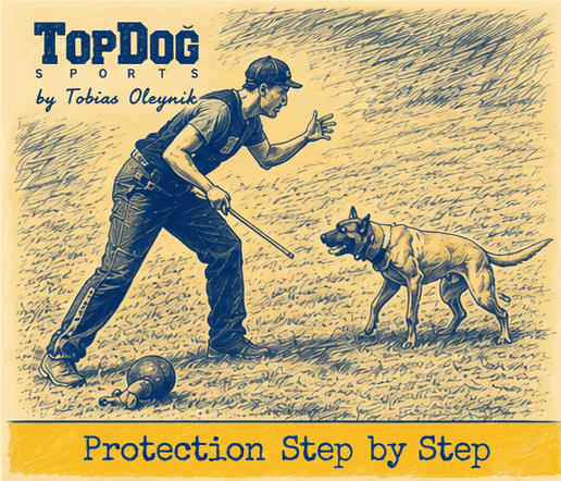 Protection - Attitude
