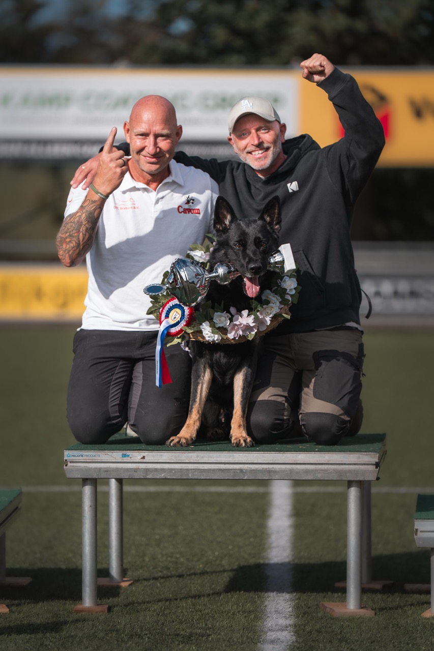 Tobias Oleynik – Online Dog Training Academy