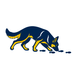 Tracking dog following a track