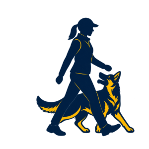 Handler heeling with a German Shepherd