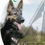 Profile photo of Regina